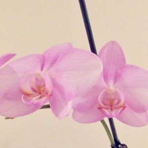 Meet Jenn, a Poshmark Ambassador